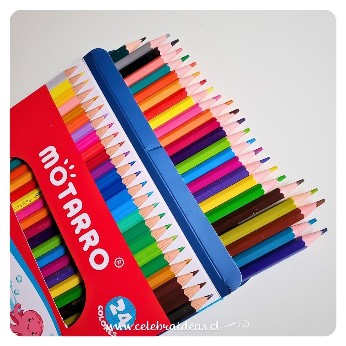 Lápices de Colores – Set de 24 Tonos de Madera para Dibujar - Imagen 2