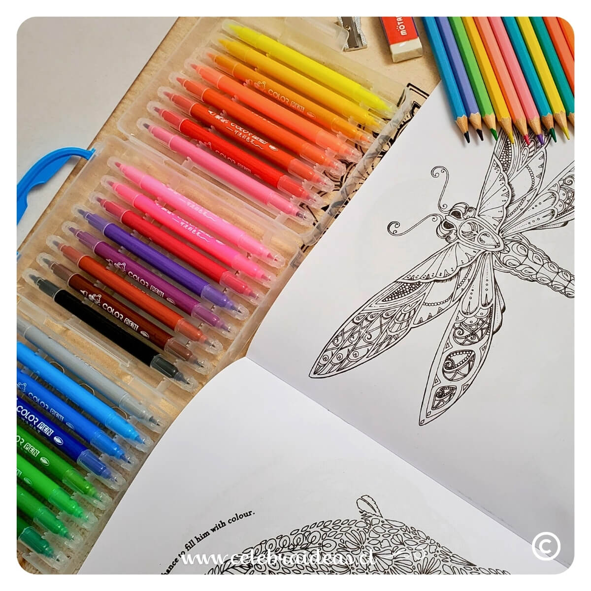 Set Marcadores Doble Punta 24 Colores Motarro - Imagen 3